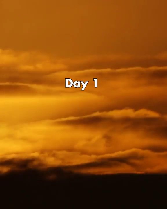 Day 1